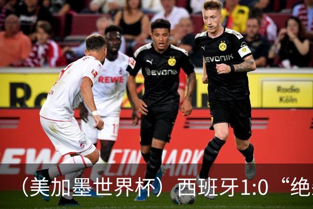 （美加墨世界杯）西班牙1:0“绝杀”葡萄牙 C罗结束世界杯征程